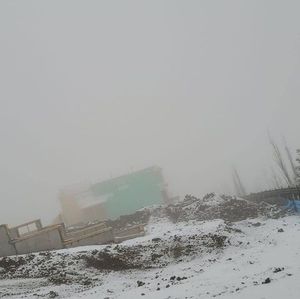 Meet your Posher, Jared